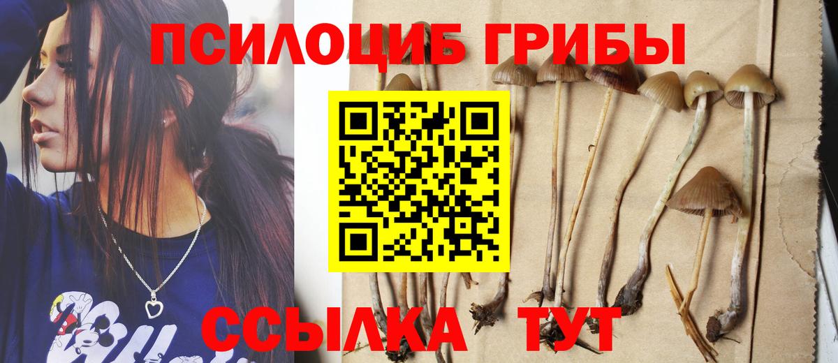 Псилоцибиновые грибы MAGIC MUSHROOMS  Псилоцибиновые грибы Cubensis  Владивосток  Вход с VPN 